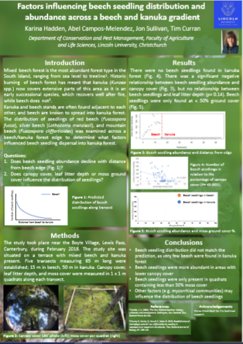 Karina's beech seedling poster