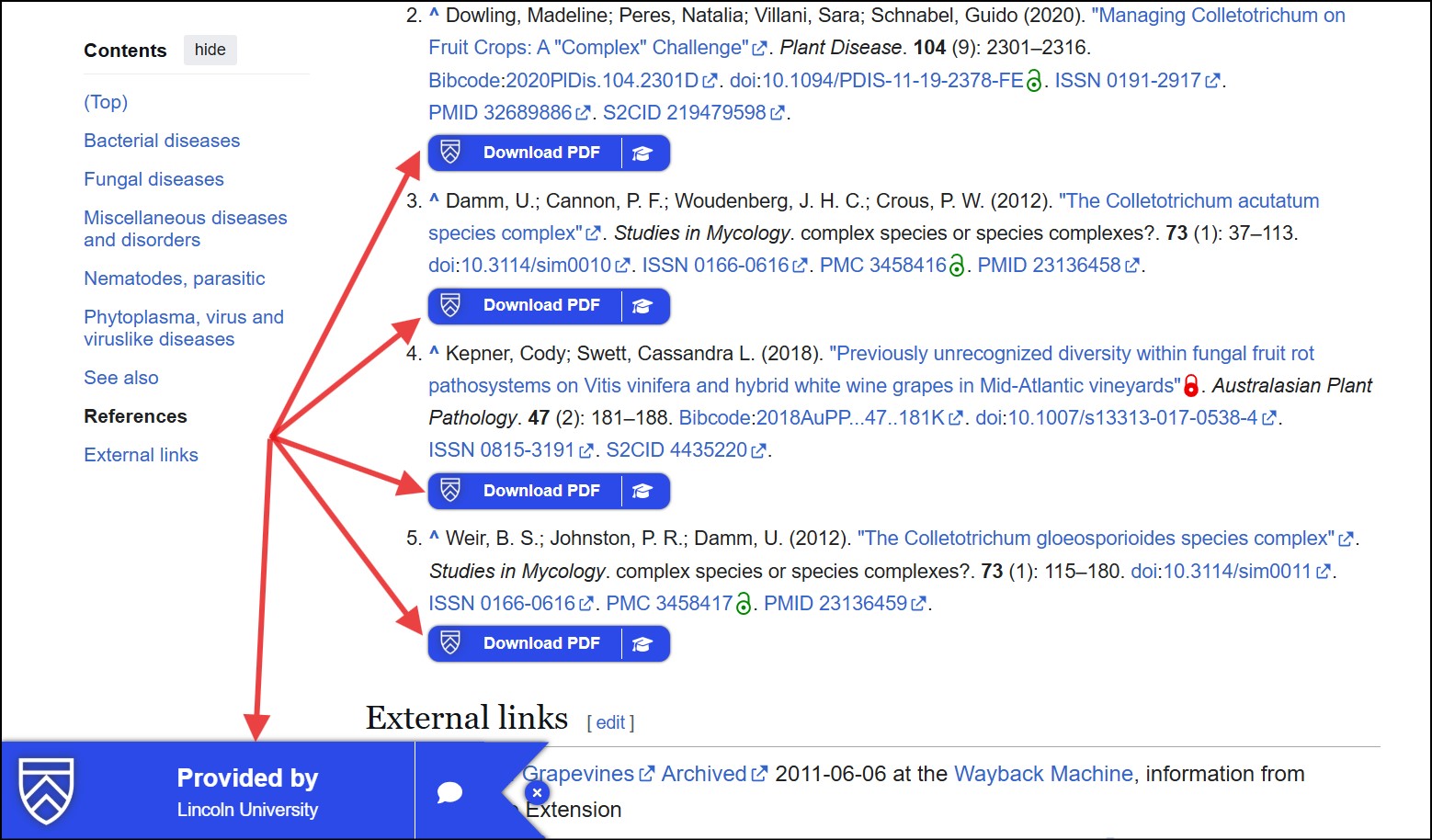 View of Wikipedia when using Libkey extension 